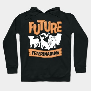 Future Veterinarian Vet School Student Gift Hoodie